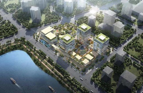 好消息 白云湖数字科技城将新建3条市政道路,首个产业项目展厅亮相