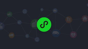 合肥野火信息科技 小程序如何整合线上线下资源